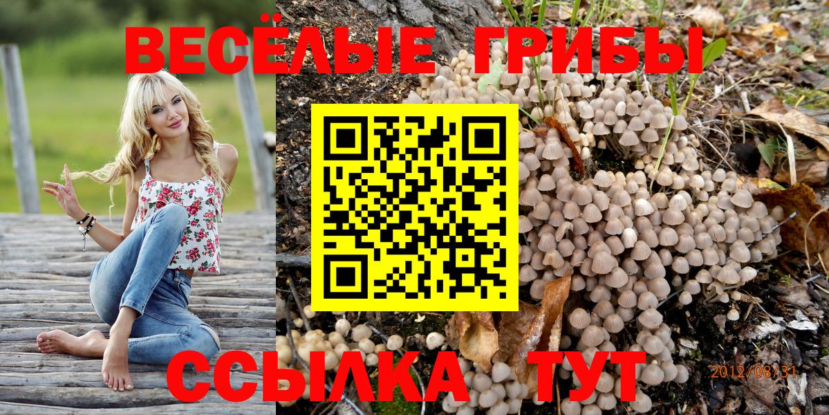 Галлюциногенные грибы Magic Shrooms Северск