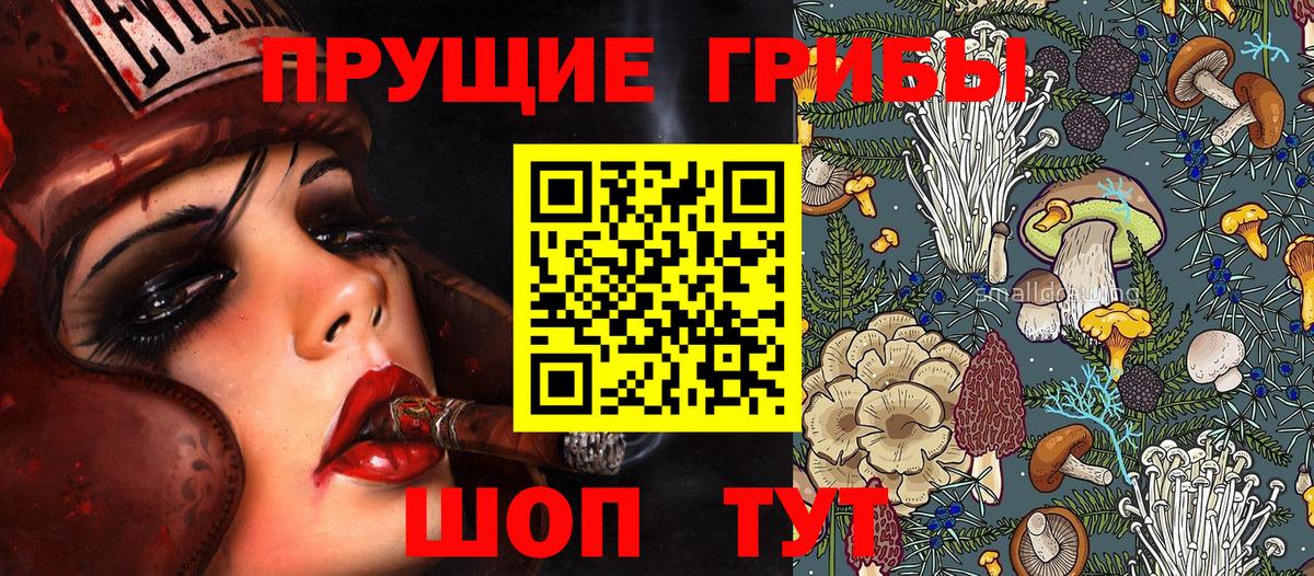 Галлюциногенные грибы мицелий  Вход с VPN  Северск  Галлюциногенные грибы мухоморы 